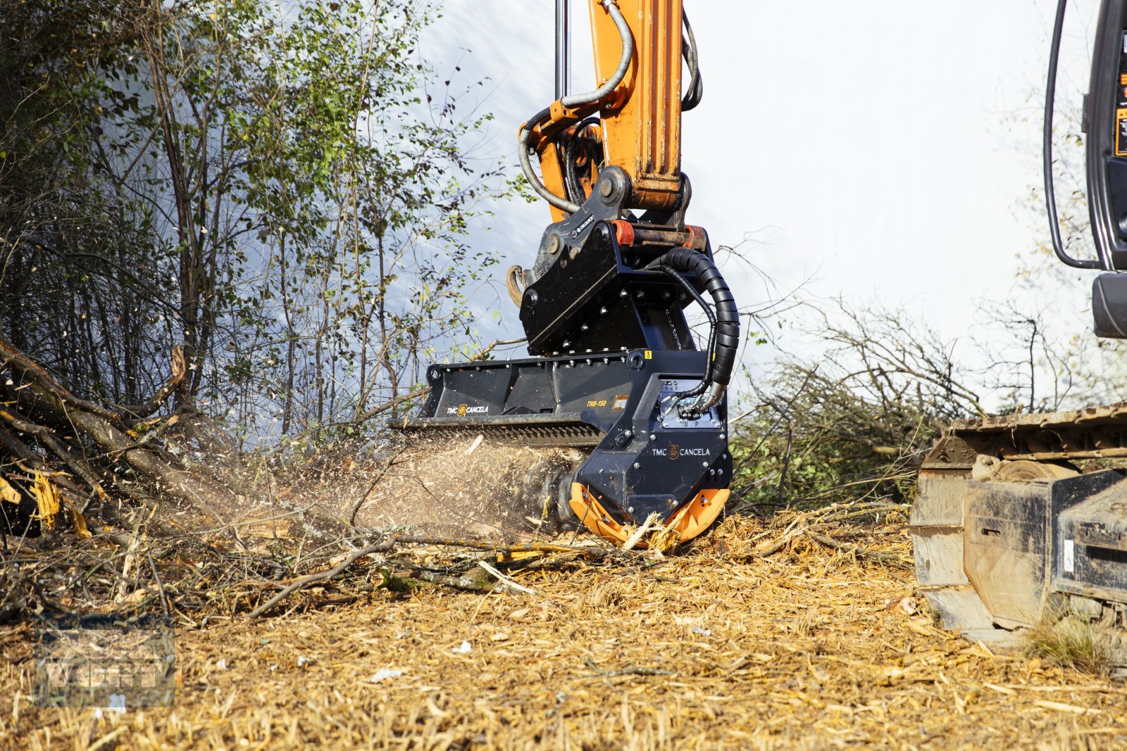 Forstfräse & Forstmulcher des Typs TMC Cancela THB-125 Hydraulischer Forstmulcher /Forstmulchkopf für Bagger, Neumaschine in Schmallenberg (Bild 9)