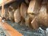 Forstfräse & Forstmulcher del tipo TMC Cancela THJ-125 Baggermulcher, Gebrauchtmaschine In Heiligenstadt (Immagine 8)