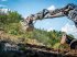 Forstfräse & Forstmulcher del tipo TMC Cancela THJ-125 Hydr. Forstmulcher /Mulcher für Bagger-Aktion, Neumaschine In Schmallenberg (Immagine 4)