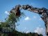 Forstfräse & Forstmulcher del tipo TMC Cancela THJ-125 Hydr. Forstmulcher /Mulcher für Bagger-Aktion, Neumaschine In Schmallenberg (Immagine 5)