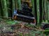 Forstfräse & Forstmulcher del tipo TMC Cancela THJ-125 Hydr. Forstmulcher /Mulcher für Bagger-Aktion, Neumaschine In Schmallenberg (Immagine 9)