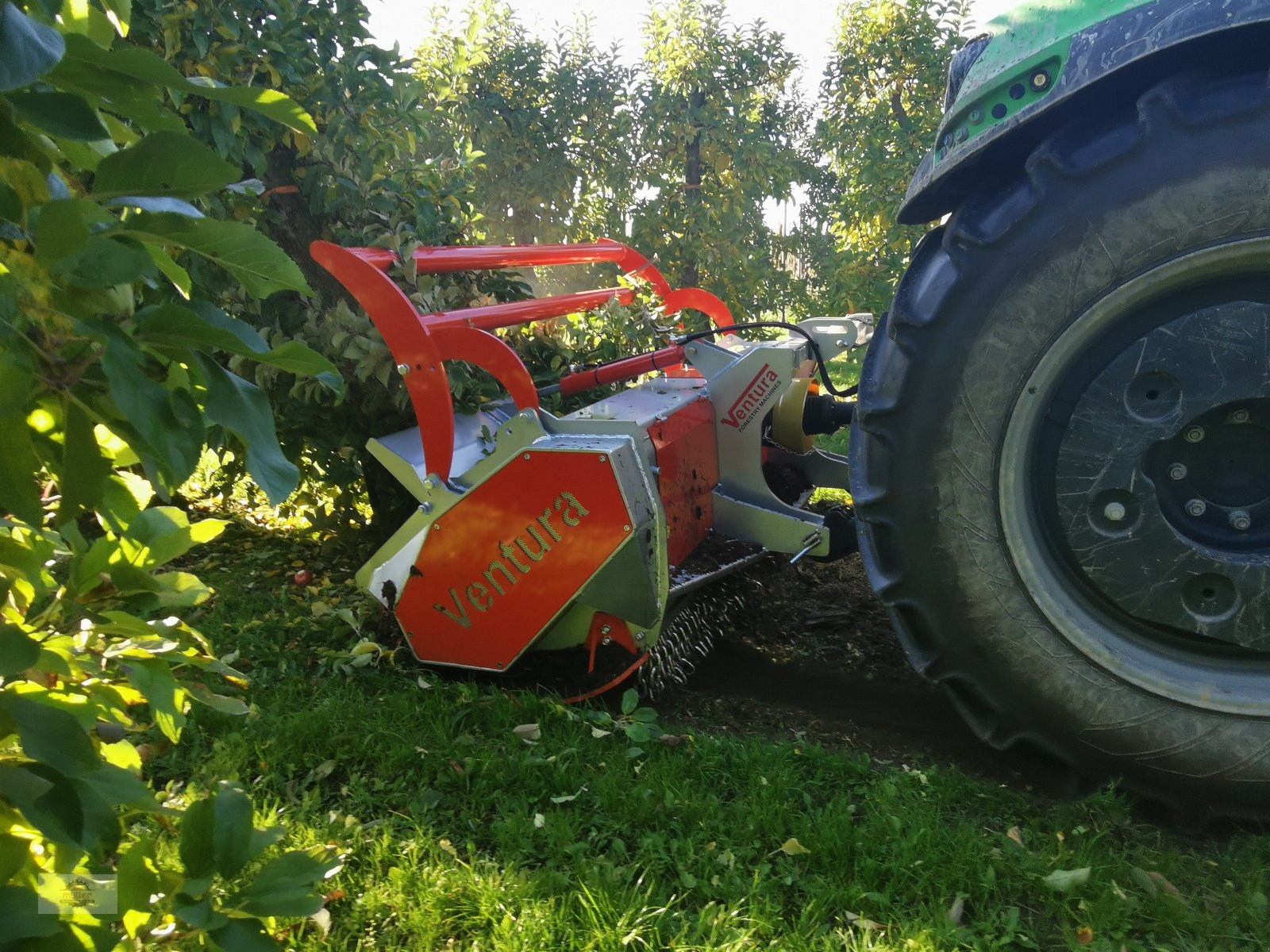 Forstfräse & Forstmulcher des Typs Ventura Elsa250 Forstmulcher, Neumaschine in Kehrig (Bild 1)