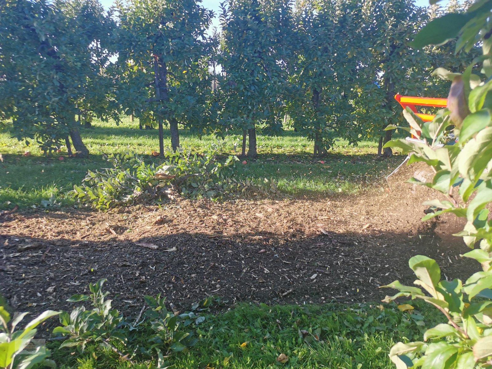 Forstfräse & Forstmulcher des Typs Ventura Elsa250 Forstmulcher, Neumaschine in Kehrig (Bild 3)