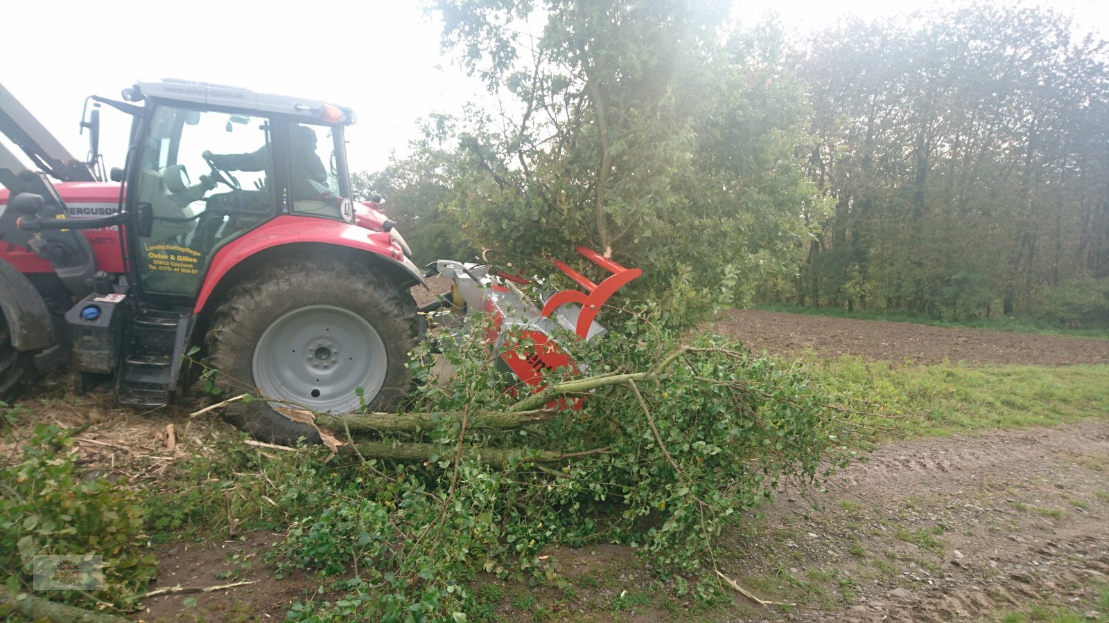 Forstfräse & Forstmulcher des Typs Ventura Elsa250 Forstmulcher, Neumaschine in Kehrig (Bild 5)