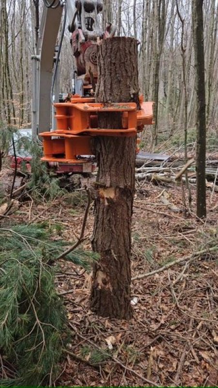 Forstgreifer und Zange of the type Biojack Bio Jack 300, Vorführmaschine in Stössing (Picture 2)