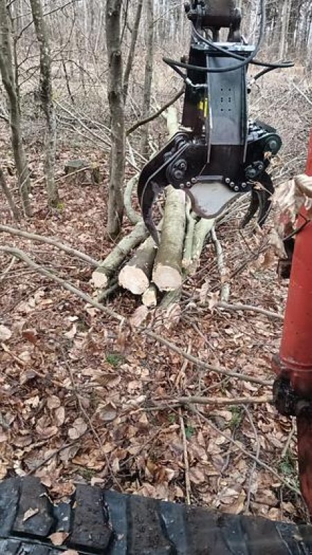 Forstgreifer und Zange a típus JAK 250 Fällgreifer, Gebrauchtmaschine ekkor: Göpfritz an der Wild (Kép 2)