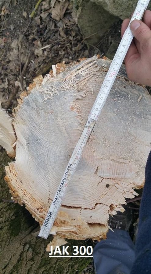 Forstgreifer und Zange του τύπου JAK 31562, Neumaschine σε Berndorf (Φωτογραφία 15)