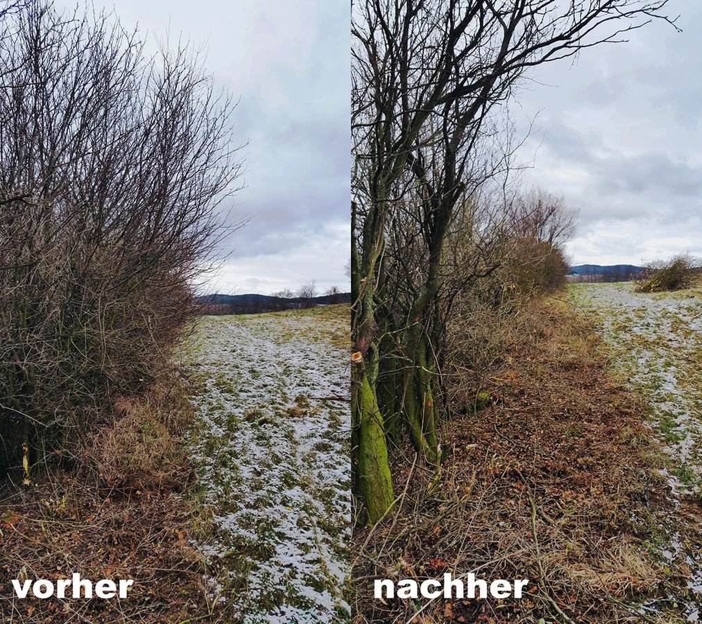 Forstgreifer und Zange του τύπου JAK 31562, Neumaschine σε Berndorf (Φωτογραφία 10)