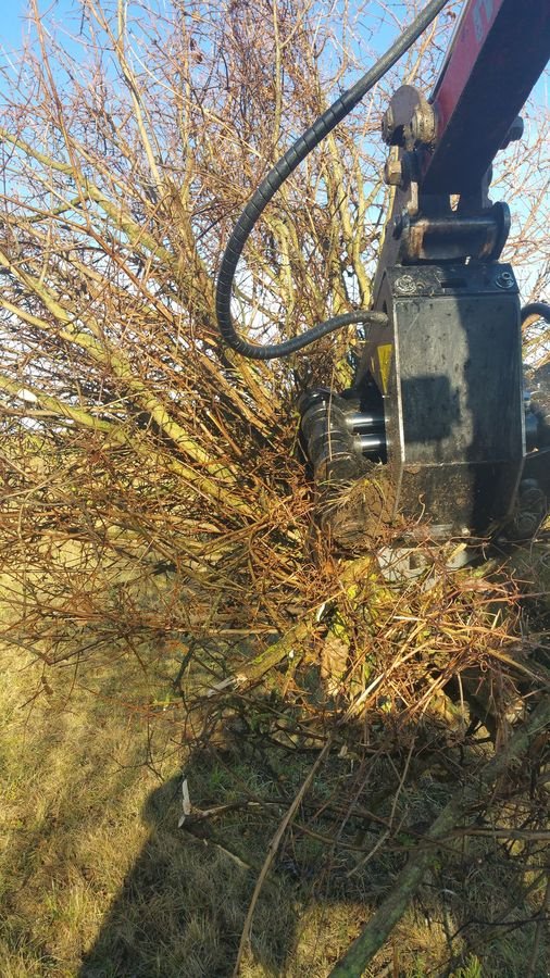 Forstgreifer und Zange του τύπου JAK 31562, Neumaschine σε Berndorf (Φωτογραφία 13)