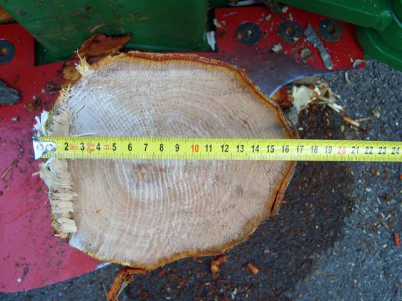 Forstgreifer und Zange a típus Sonstige Farma, Neumaschine ekkor: Gosau am Dachstein (Kép 6)