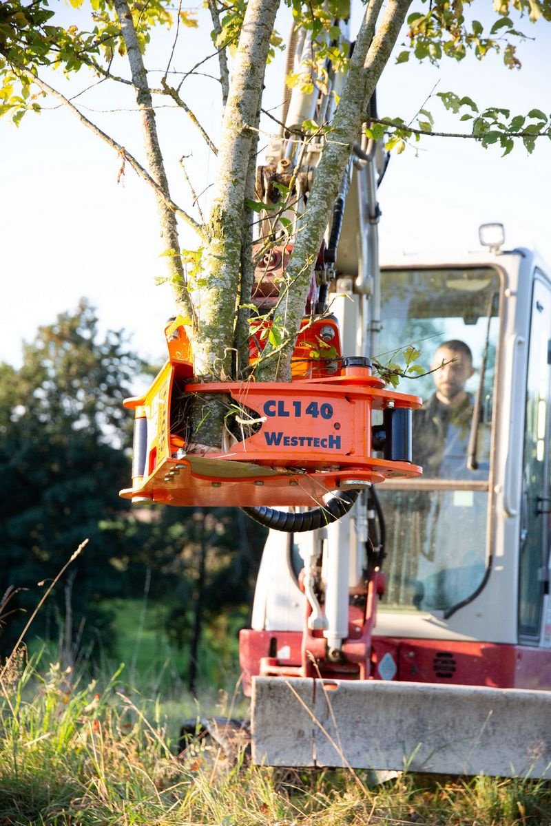 Forstgreifer und Zange a típus Westtech Westtech Woodcracker CL 140, Neumaschine ekkor: NATTERNBACH (Kép 1)