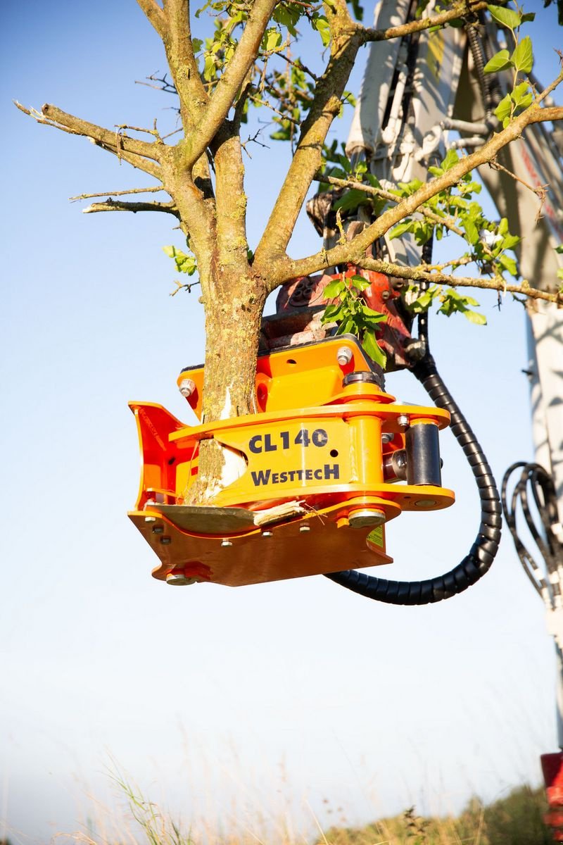Forstgreifer und Zange a típus Westtech Westtech Woodcracker CL 140, Neumaschine ekkor: NATTERNBACH (Kép 8)