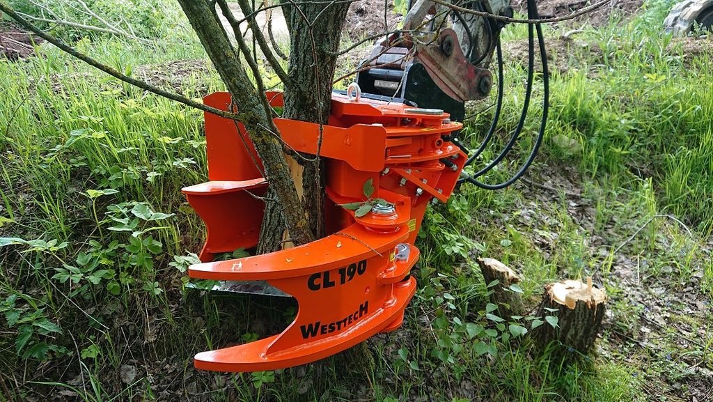 Forstgreifer und Zange Türe ait Westtech Westtech Woodcracker CL 190 mit Sammelgreifer, Neumaschine içinde NATTERNBACH (resim 3)