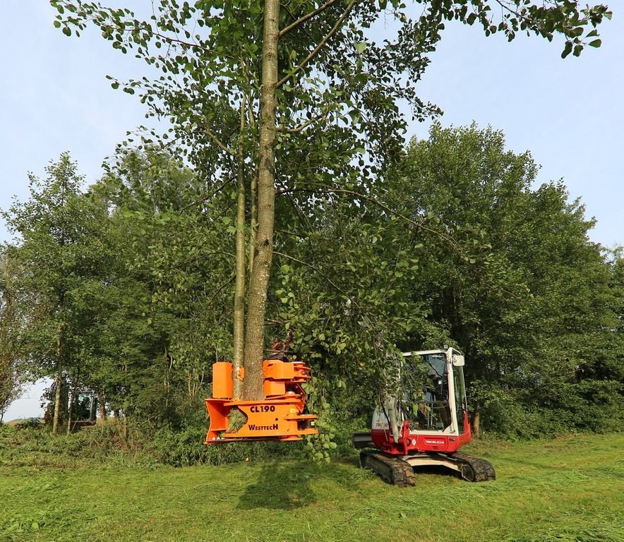 Forstgreifer und Zange Türe ait Westtech Westtech Woodcracker CL 190 mit Sammelgreifer, Neumaschine içinde NATTERNBACH (resim 4)
