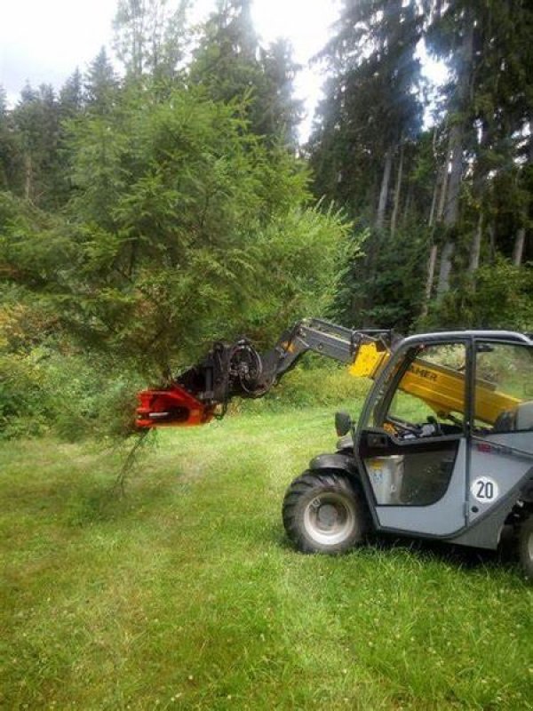 Forstgreifer und Zange του τύπου Westtech Westtech Woodcracker CL 190, Neumaschine σε NATTERNBACH (Φωτογραφία 5)