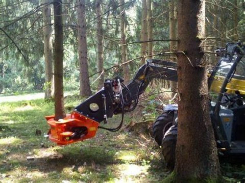 Forstgreifer und Zange του τύπου Westtech Westtech Woodcracker CL 190, Neumaschine σε NATTERNBACH (Φωτογραφία 4)