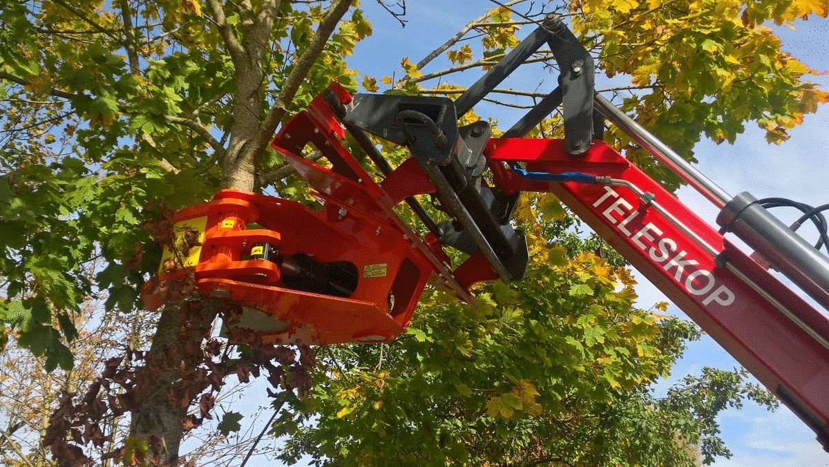 Forstgreifer und Zange του τύπου Westtech Westtech Woodcracker CL 190, Neumaschine σε NATTERNBACH (Φωτογραφία 7)