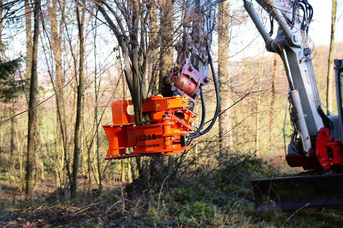 Forstgreifer und Zange του τύπου Westtech Westtech Woodcracker CL 260, Neumaschine σε NATTERNBACH (Φωτογραφία 7)