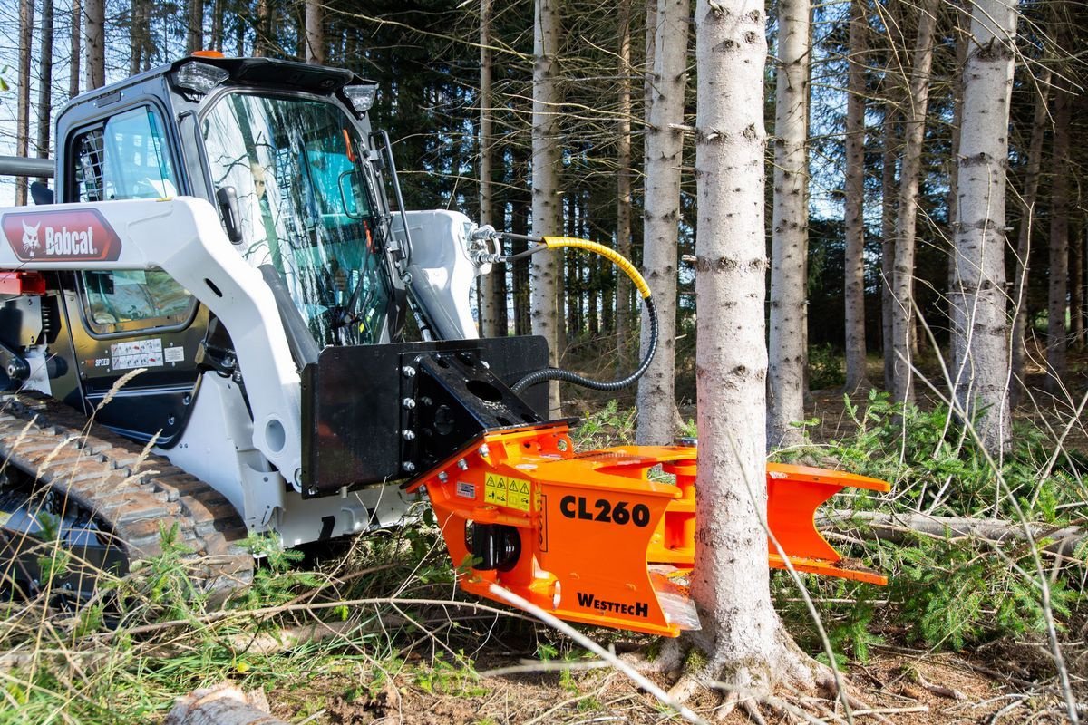 Forstgreifer und Zange του τύπου Westtech Westtech Woodcracker CL 260, Neumaschine σε NATTERNBACH (Φωτογραφία 5)