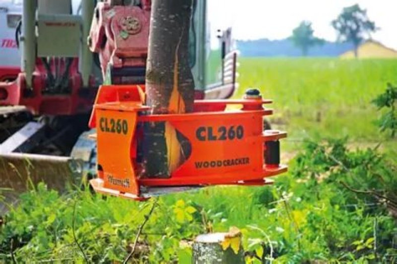 Forstgreifer und Zange του τύπου Westtech Westtech Woodcracker CL 260, Neumaschine σε NATTERNBACH (Φωτογραφία 1)