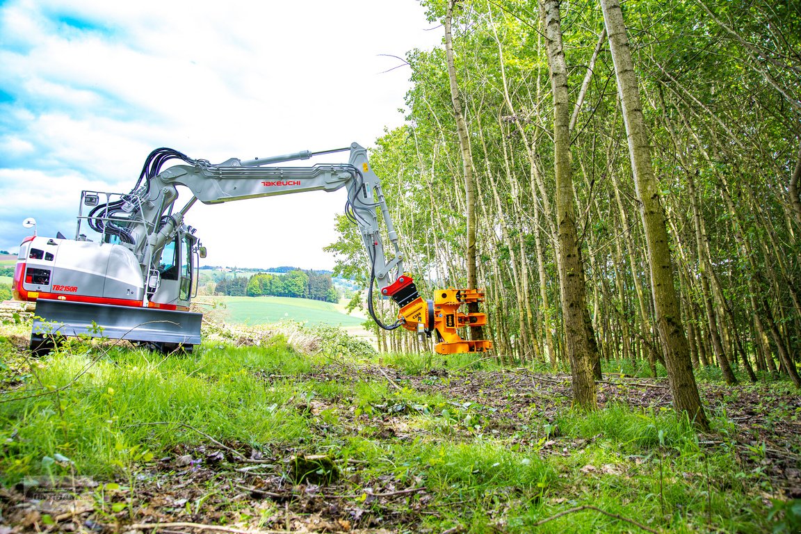 Forstgreifer und Zange of the type Westtech Woodcracker C 300, Neumaschine in Deutsch - Goritz (Picture 2)