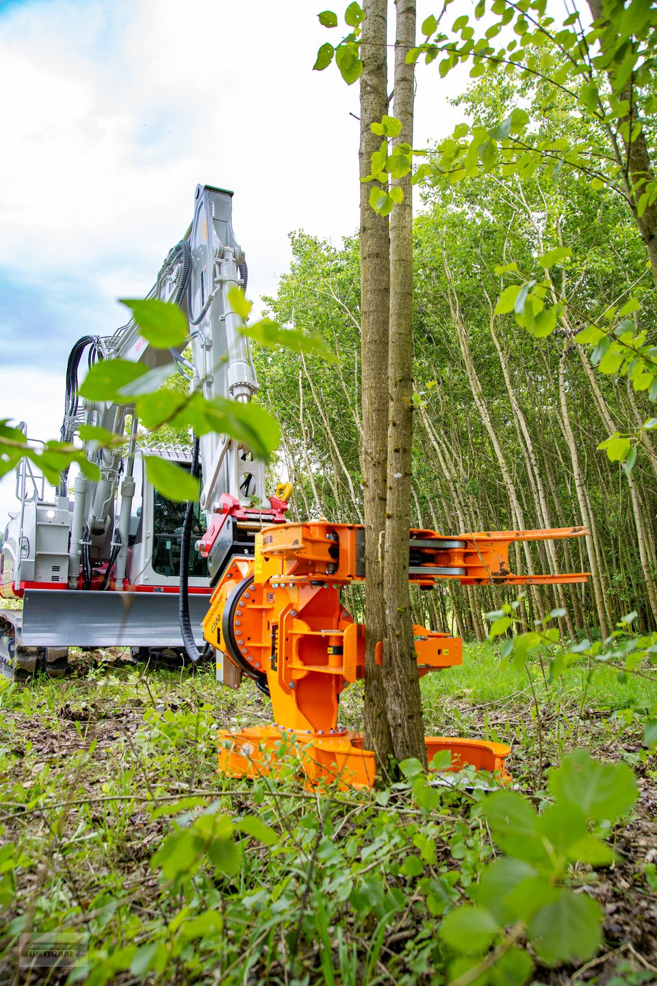 Forstgreifer und Zange of the type Westtech Woodcracker C 300, Neumaschine in Deutsch - Goritz (Picture 4)