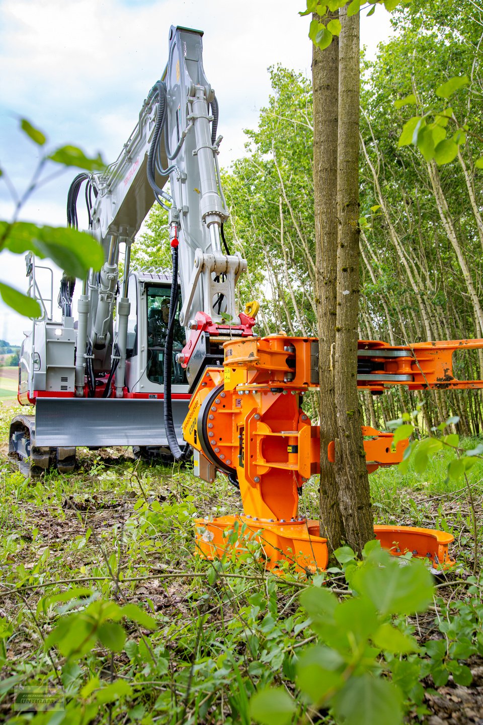 Forstgreifer und Zange of the type Westtech Woodcracker C 300, Neumaschine in Deutsch - Goritz (Picture 5)