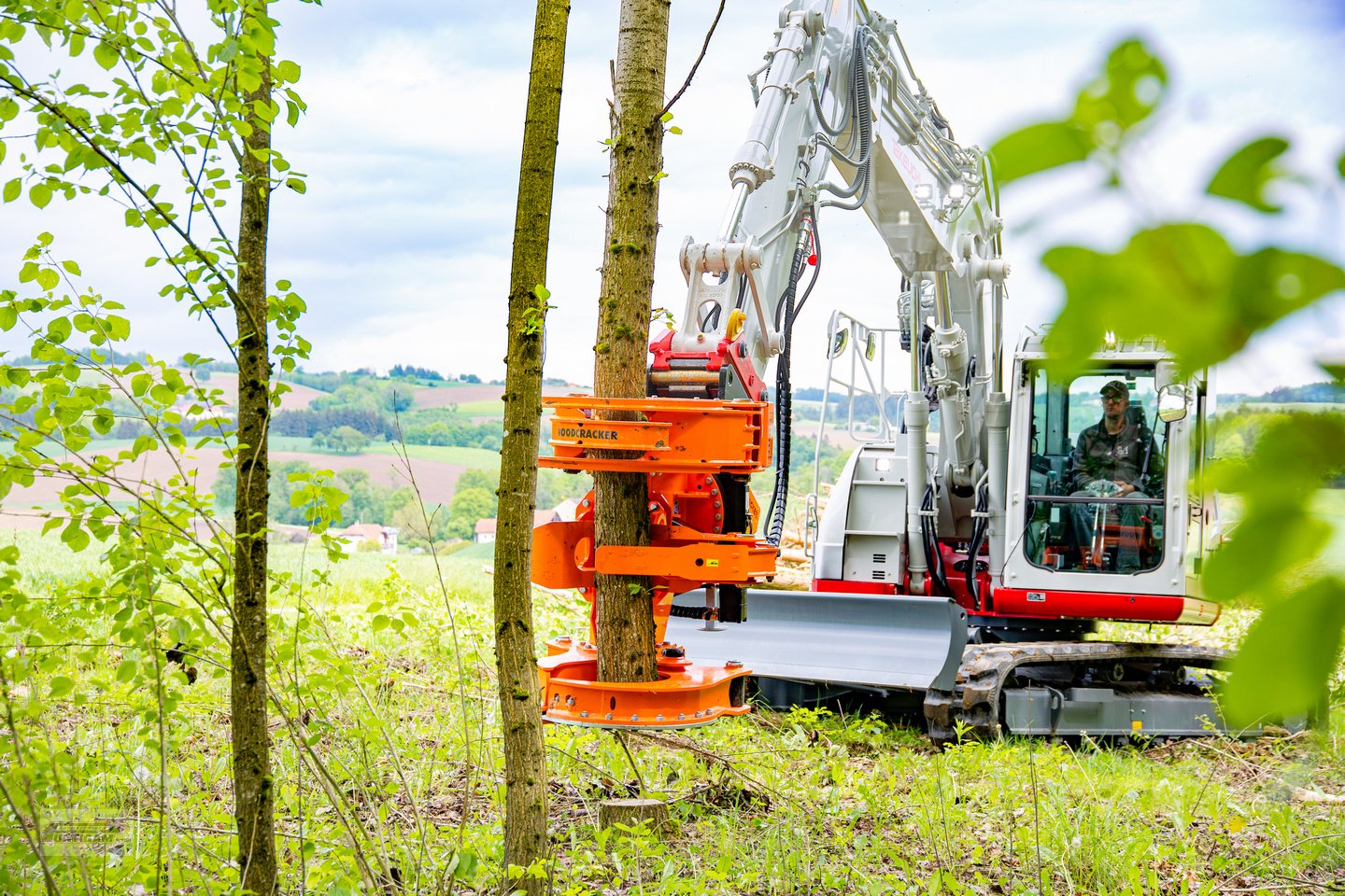 Forstgreifer und Zange of the type Westtech Woodcracker C 300, Neumaschine in Deutsch - Goritz (Picture 6)