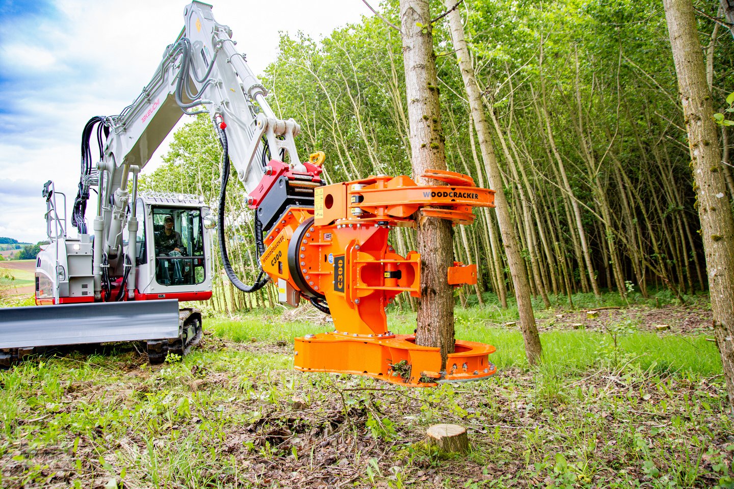 Forstgreifer und Zange of the type Westtech Woodcracker C 300, Neumaschine in Deutsch - Goritz (Picture 7)