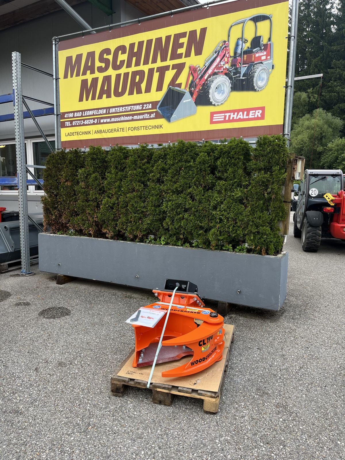 Forstgreifer und Zange Türe ait Westtech Woodcracker CL 190 für Bagger, Gebrauchtmaschine içinde Bad Leonfelden (resim 1)