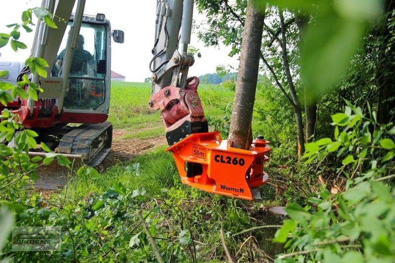 Forstgreifer und Zange of the type westtech Woodcracker CL 260, Neumaschine in Deutsch - Goritz (Picture 1)