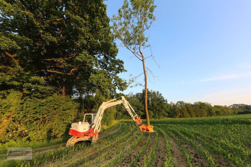 Forstgreifer und Zange of the type westtech Woodcracker CL 260, Neumaschine in Deutsch - Goritz (Picture 5)