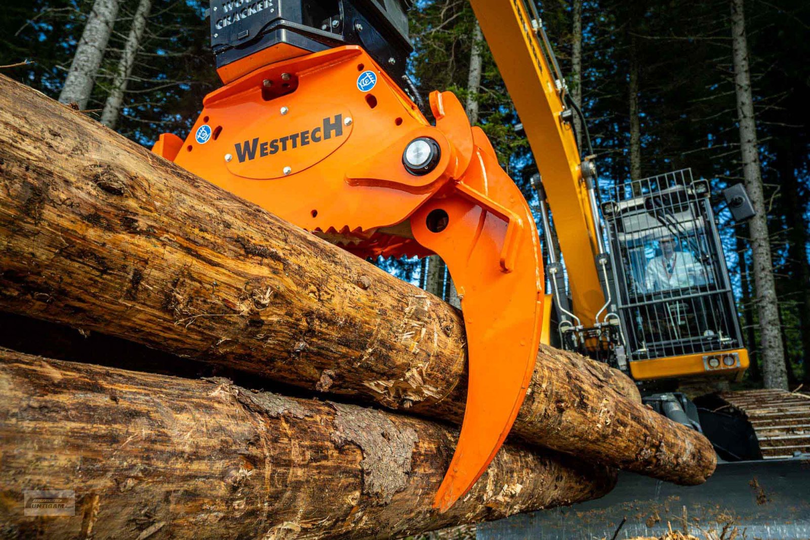 Forstgreifer und Zange του τύπου Westtech Woodgripper WG 1270, Gebrauchtmaschine σε Deutsch - Goritz (Φωτογραφία 2)