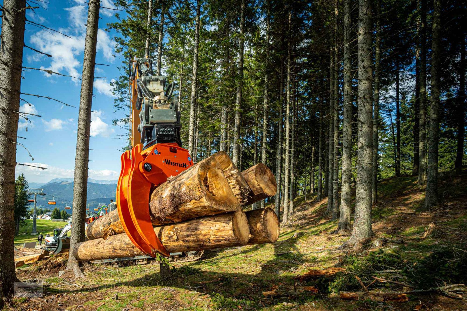 Forstgreifer und Zange του τύπου Westtech Woodgripper WG 1270, Gebrauchtmaschine σε Deutsch - Goritz (Φωτογραφία 3)