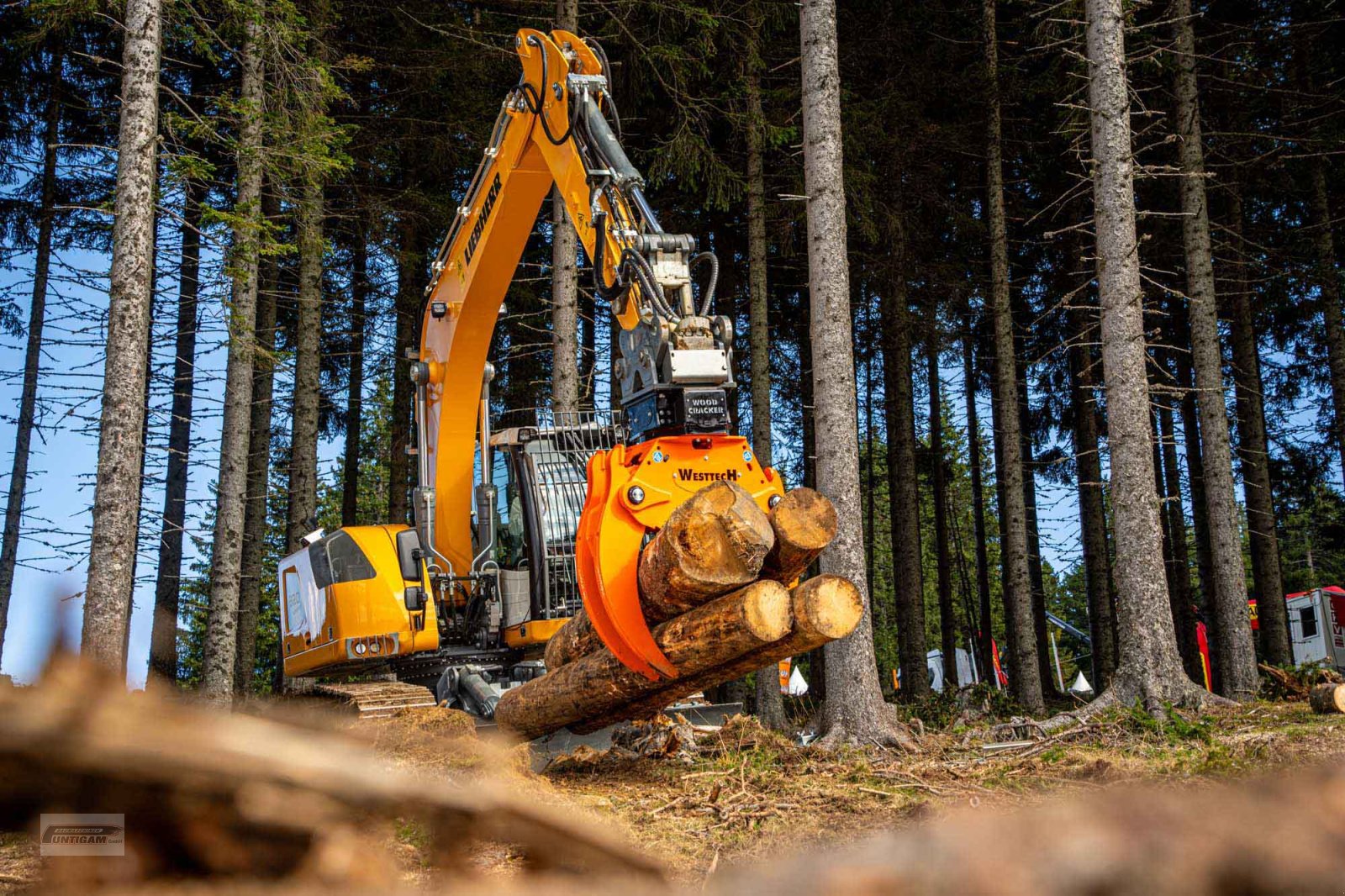 Forstgreifer und Zange του τύπου Westtech Woodgripper WG 1270, Gebrauchtmaschine σε Deutsch - Goritz (Φωτογραφία 4)