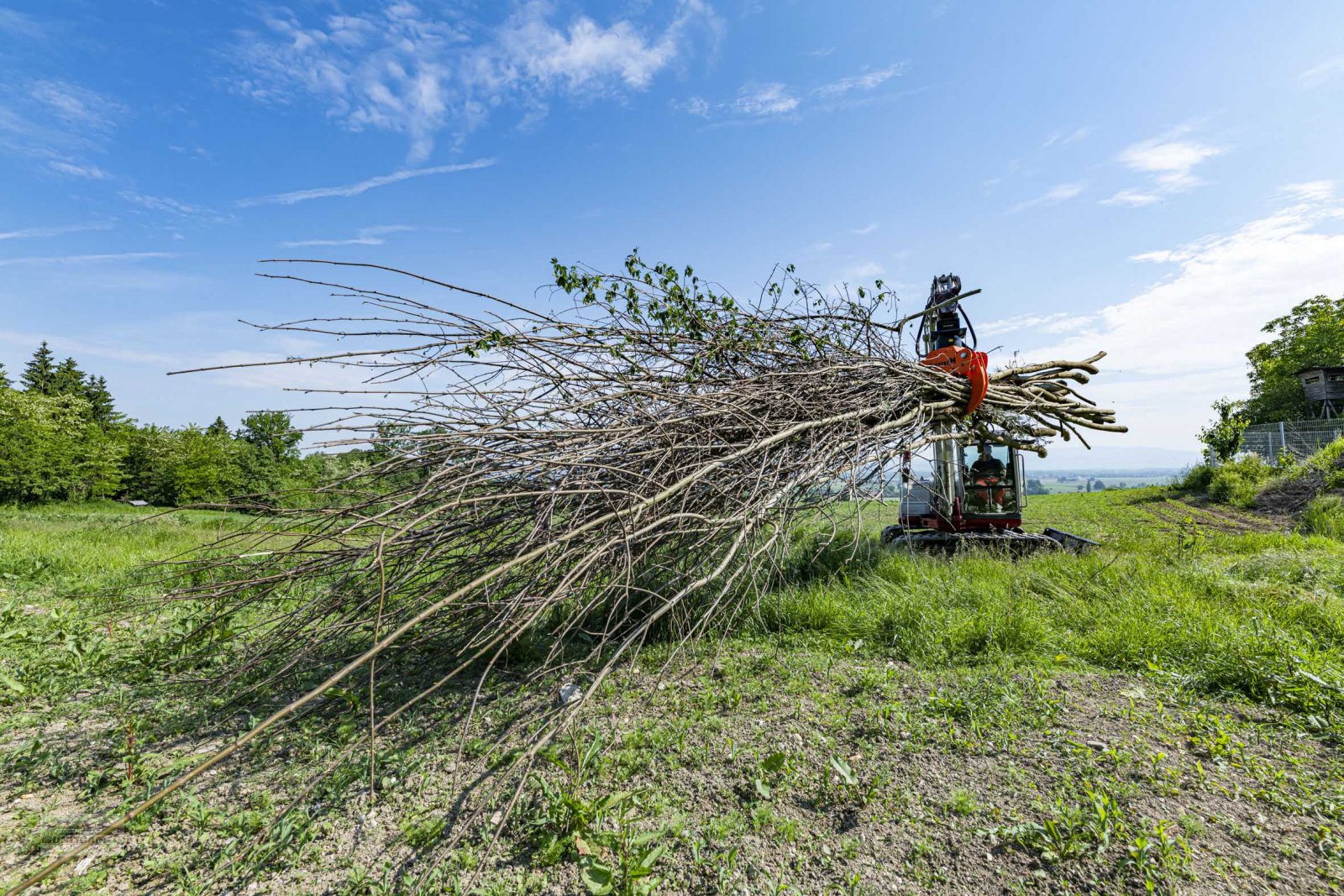 Forstgreifer und Zange του τύπου Westtech Woodgripper WG 1270, Gebrauchtmaschine σε Deutsch - Goritz (Φωτογραφία 6)
