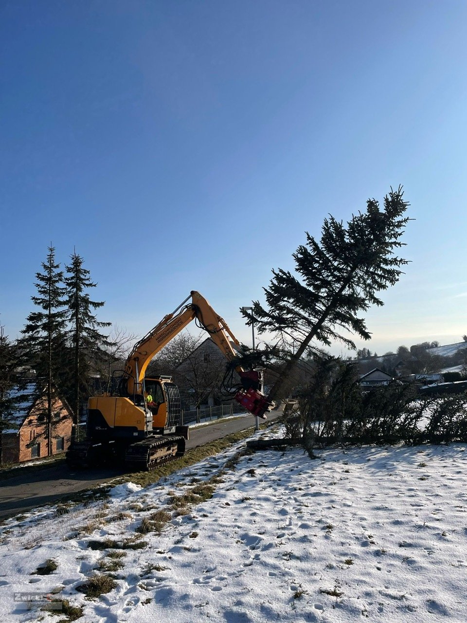 Forstgreifer und Zange του τύπου Zwicki V2-300, Neumaschine σε Pfarrkirchen (Φωτογραφία 11)