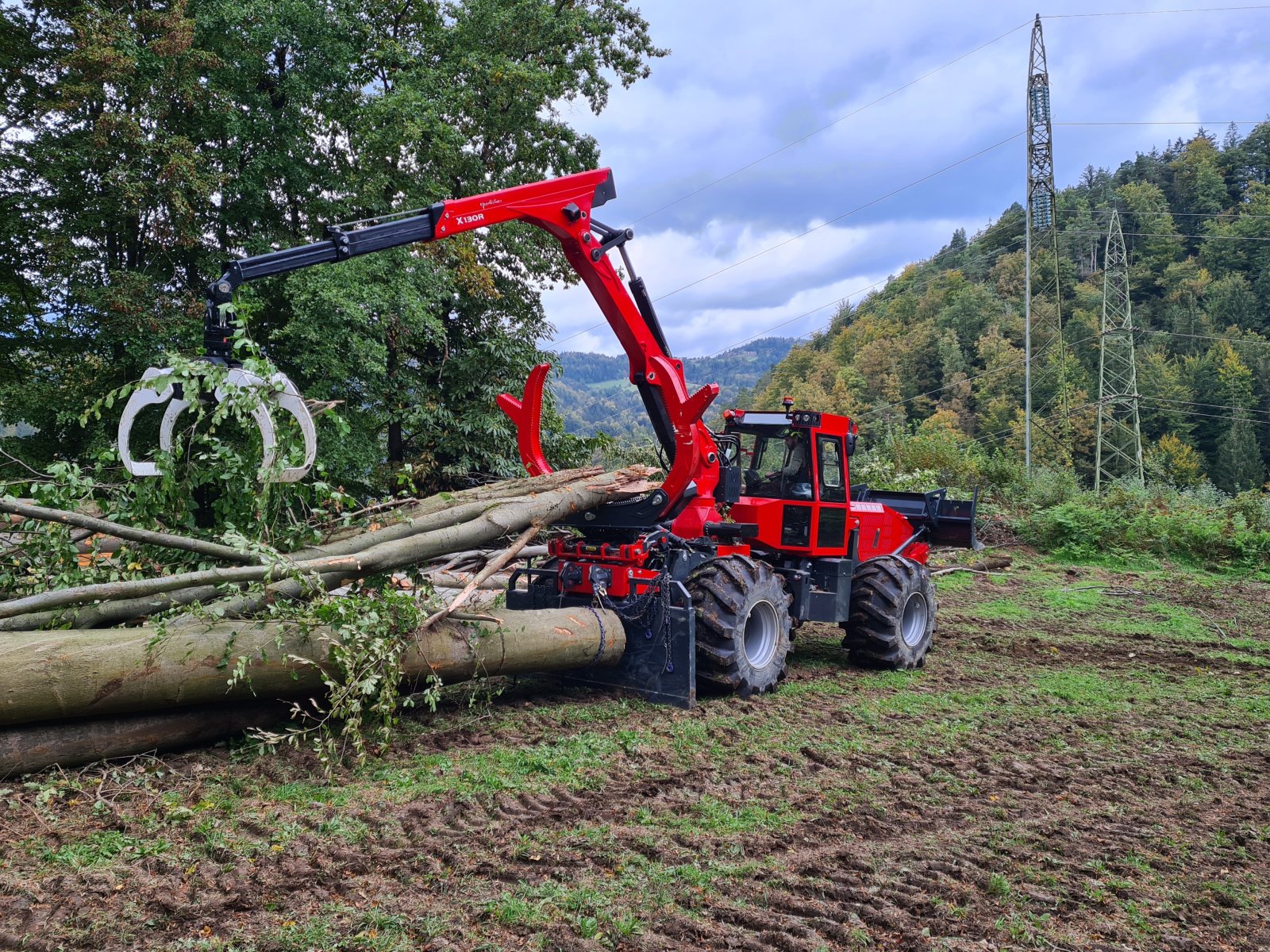 Forstschlepper des Typs Bijol BWS 240, Neumaschine in Meschede (Bild 4)