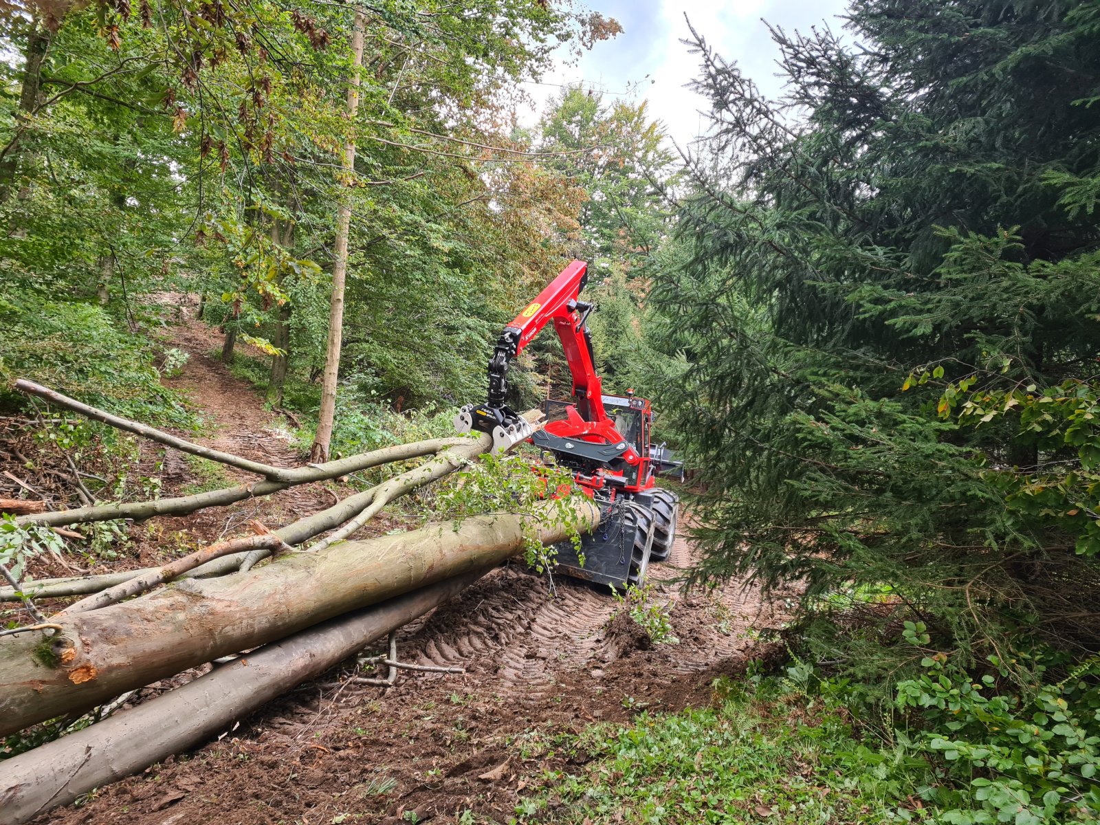 Forstschlepper des Typs Bijol BWS 240, Neumaschine in Meschede (Bild 7)
