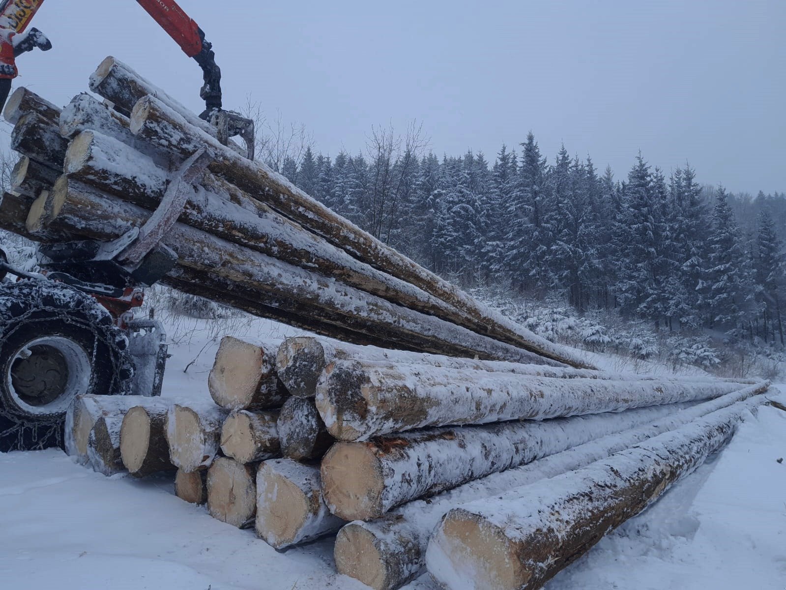Forstschlepper des Typs Bijol BWS 240, Neumaschine in Meschede (Bild 14)