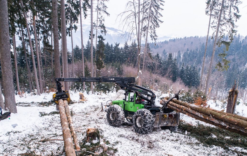 Forstschlepper des Typs EQUUS 175N UN, Neumaschine in Nittenau (Bild 5)