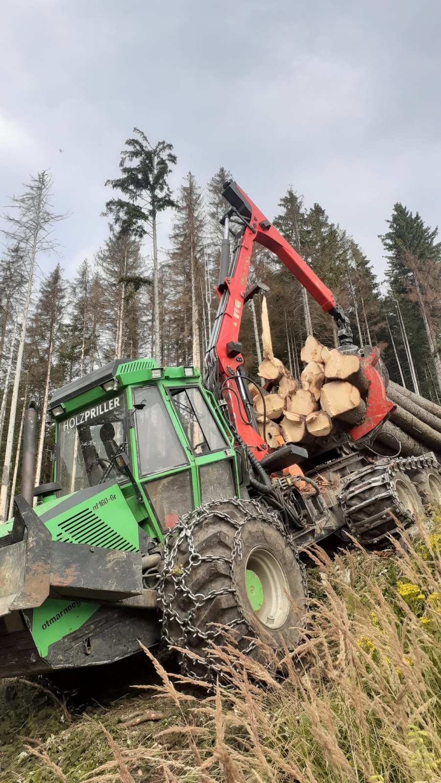 Forstschlepper des Typs Noe NF 160-6R, Gebrauchtmaschine in Molln (Bild 1)