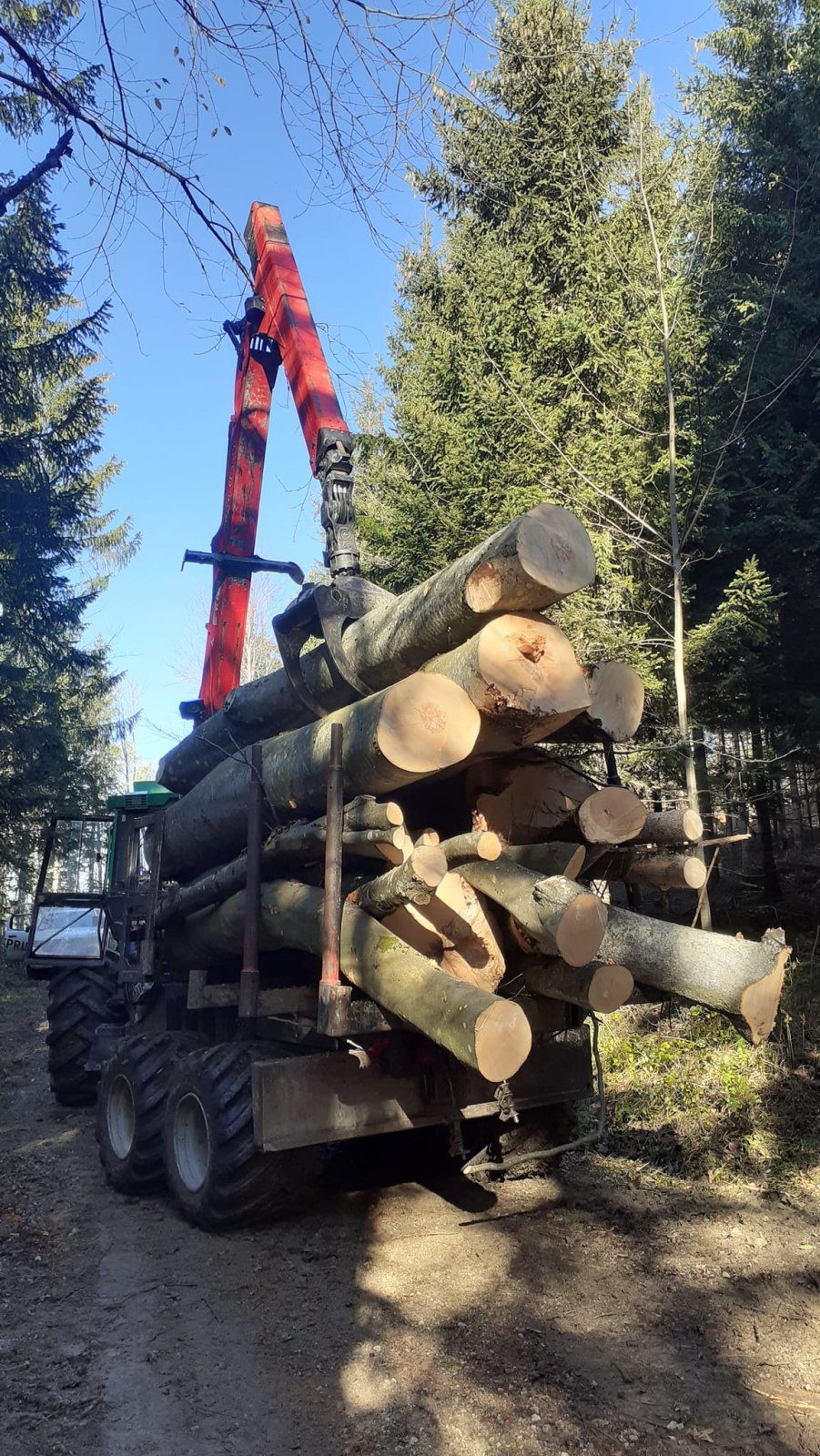 Forstschlepper des Typs Noe NF 160-6R, Gebrauchtmaschine in Molln (Bild 3)