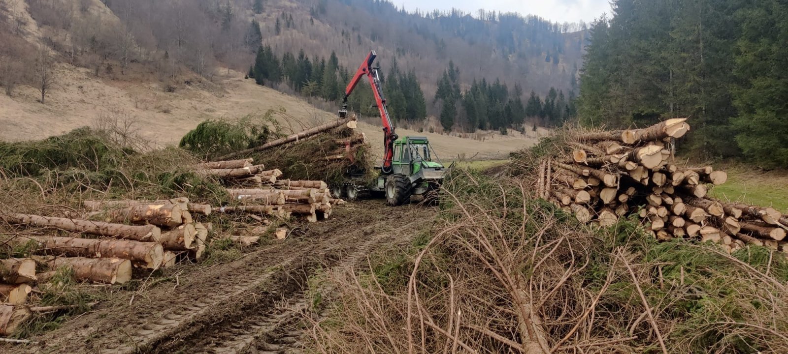 Forstschlepper des Typs Noe NF 160-6R, Gebrauchtmaschine in Molln (Bild 4)