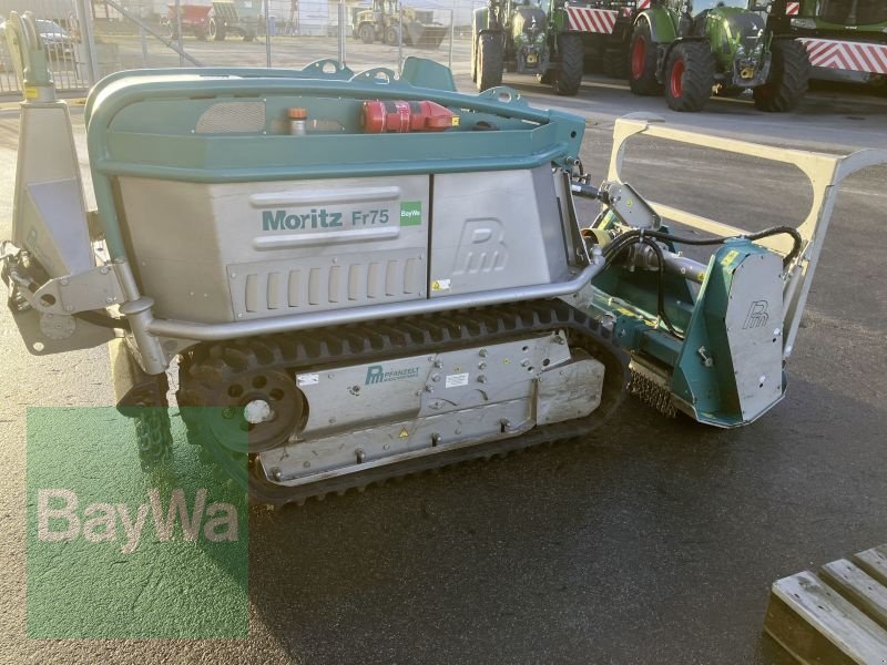 Forstschlepper of the type Pfanzelt MORITZ FR75, Gebrauchtmaschine in Bamberg (Picture 4)