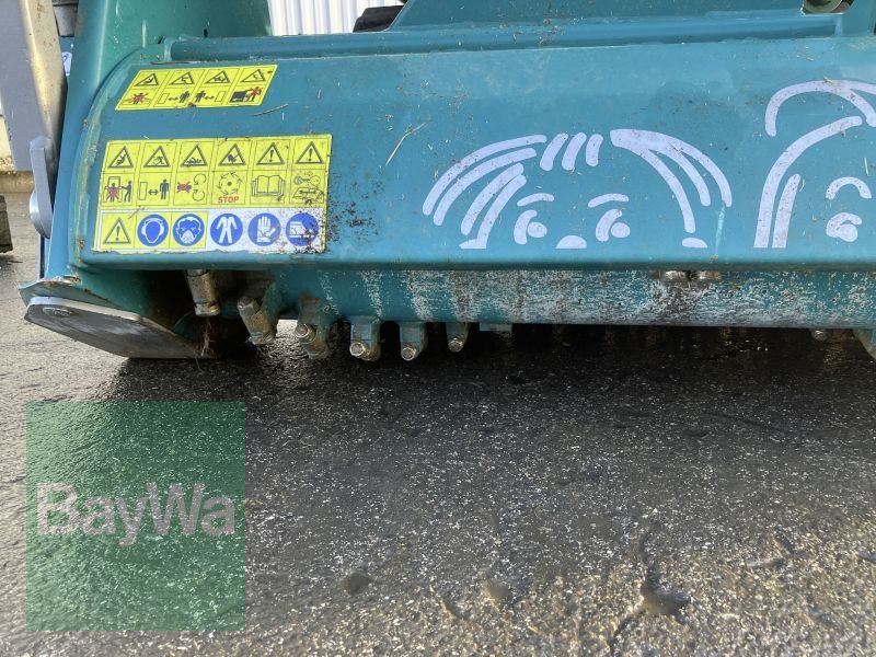 Forstschlepper of the type Pfanzelt MORITZ FR75, Gebrauchtmaschine in Bamberg (Picture 16)