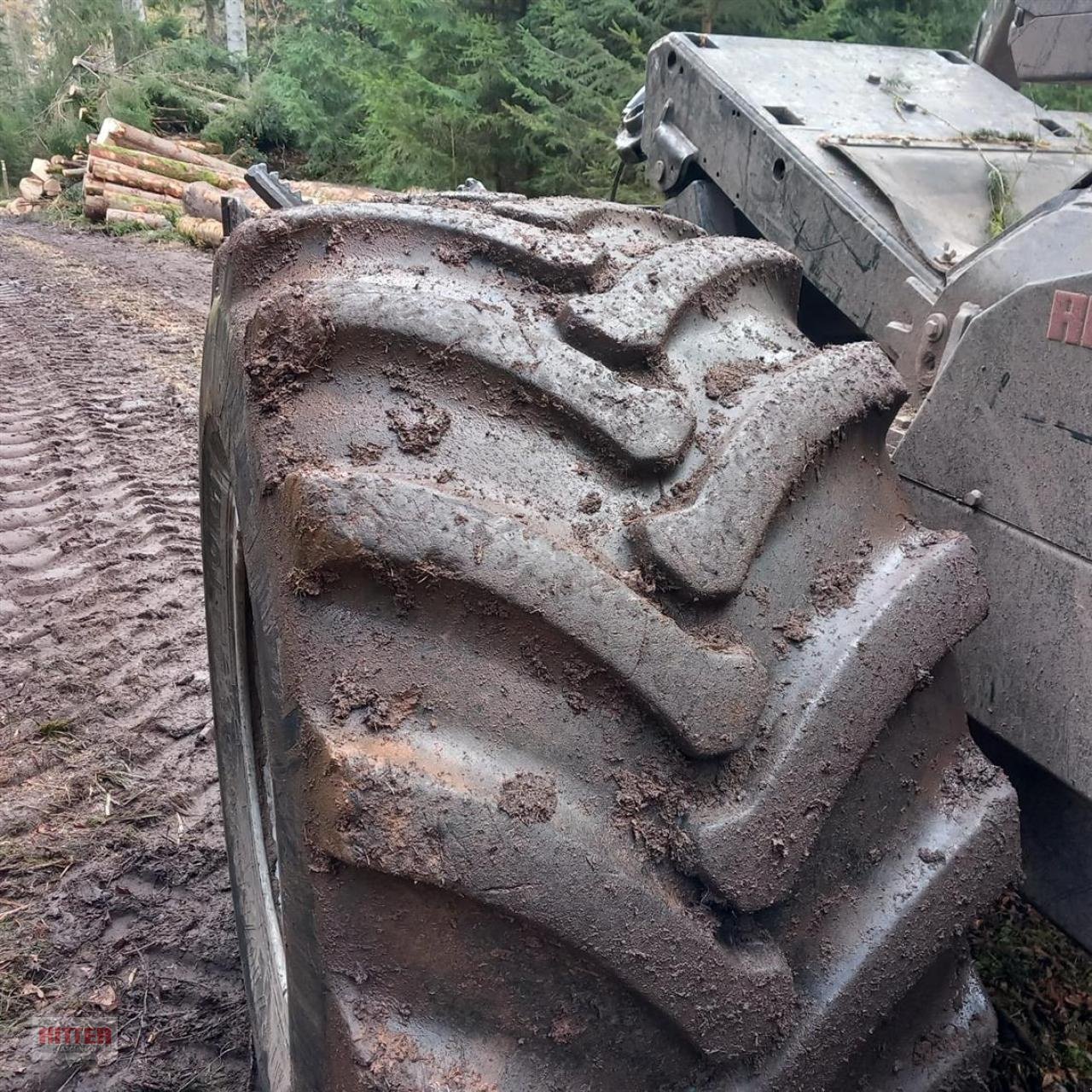 Forstschlepper Türe ait Ritter R 170, Gebrauchtmaschine içinde Zell a. H. (resim 8)
