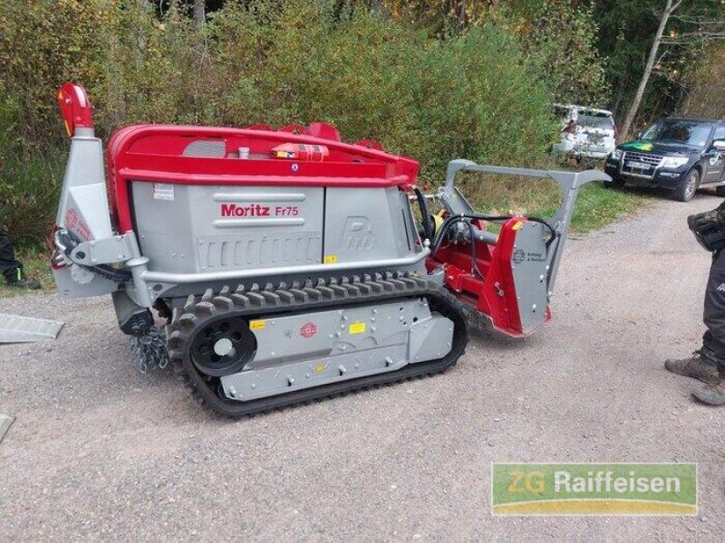 Forstschlepper des Typs Schlang & Reichart Moritz FR 75, Gebrauchtmaschine in Donaueschingen (Bild 11)