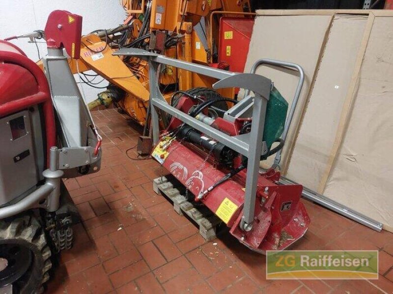 Forstschlepper des Typs Schlang & Reichart Moritz FR 75, Gebrauchtmaschine in Donaueschingen (Bild 12)