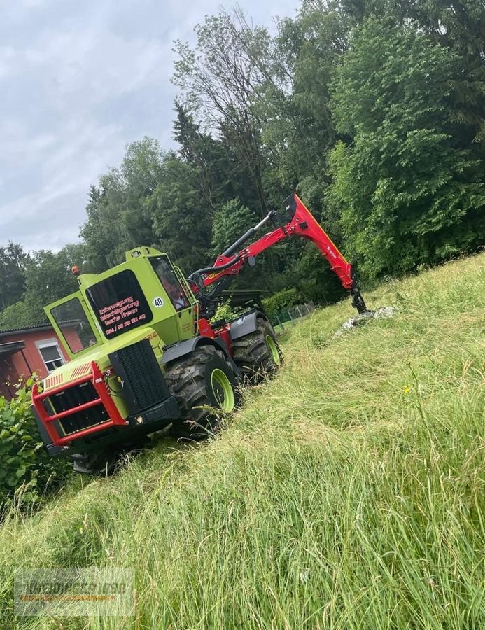 Forstschlepper typu Sonstige WF Trac, Gebrauchtmaschine v Altenfelden (Obrázek 3)